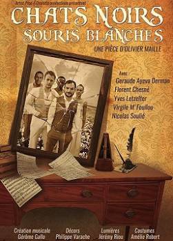 photo Chats Noirs Souris Blanches