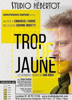 photo Trop de jaune - Les dernières heures de Van Gogh