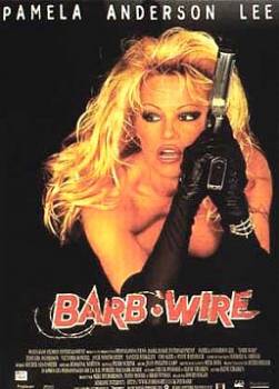 photo Barb Wire