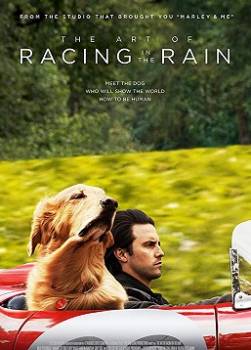 photo The Art of Racing in the Rain
